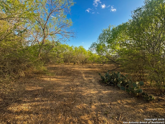 1715 S Loop 1604 E Property Photo 10