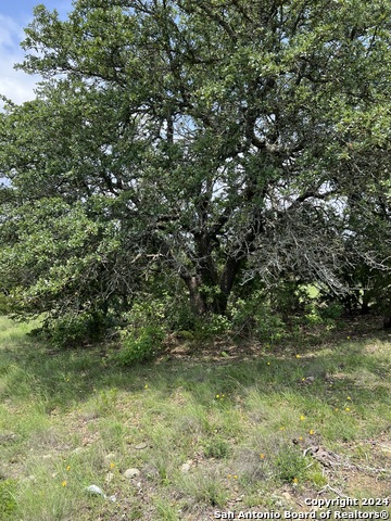 23 Lipan Apache Run Property Photo 7