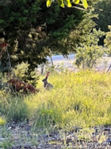 23 Lipan Apache Run Property Photo 14