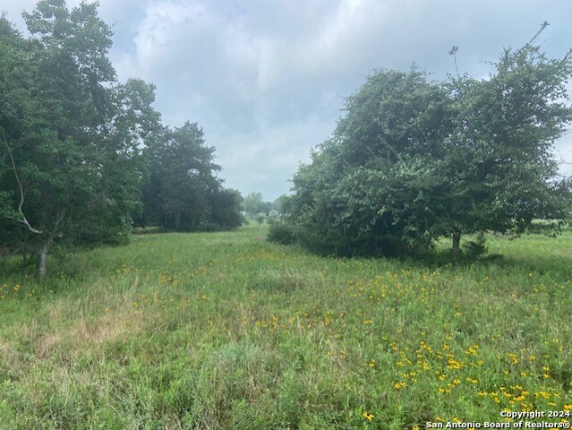 0 N Fm 949 Property Photo 9