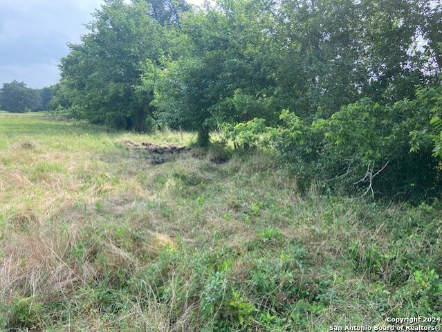 0 N Fm 949 Property Photo 10