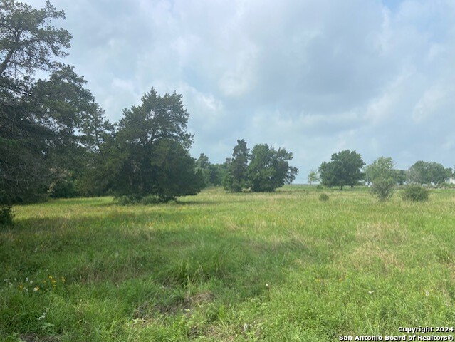 0 N Fm 949 Property Photo 13