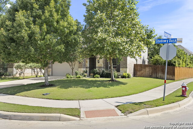 10332 Shadowy Dusk Property Photo 3