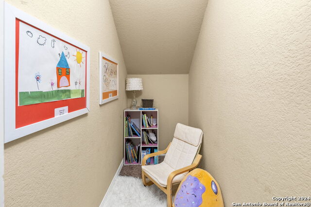 10332 Shadowy Dusk Property Photo 22