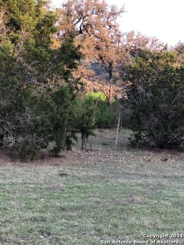 40ef White Tail Run Property Photo 2