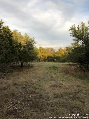 40ef White Tail Run Property Photo 4