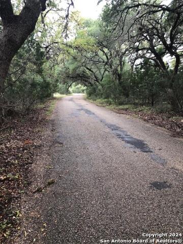 40ef White Tail Run Property Photo 6