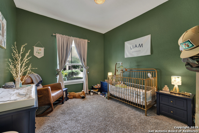 920 Carriage Loop Property Photo 16