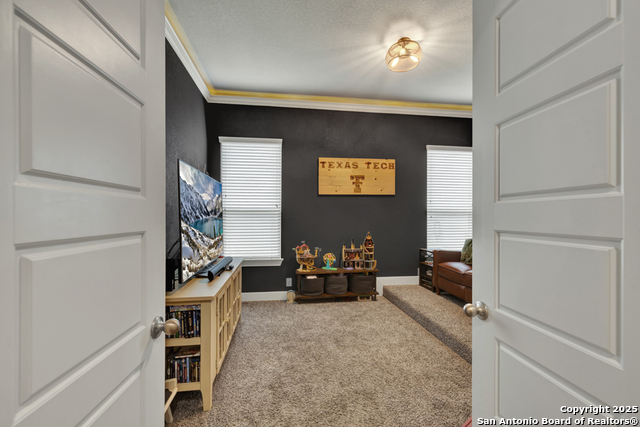 920 Carriage Loop Property Photo 20