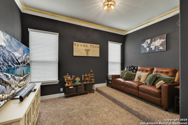 920 Carriage Loop Property Photo 21