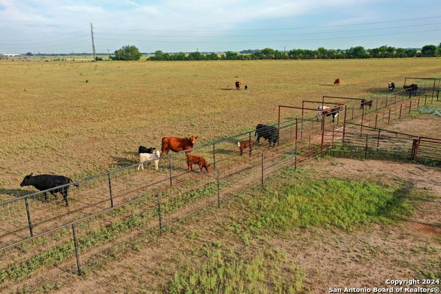 700 County Road 544 Property Photo 22