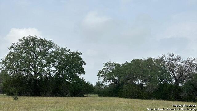 6989 State Highway 16 Property Photo 4
