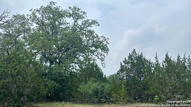 6989 State Highway 16 Property Photo 5