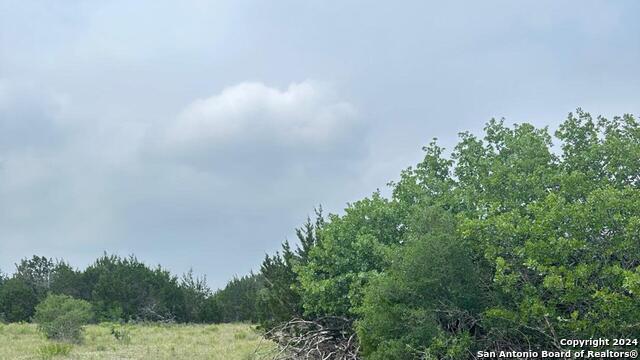 6989 State Highway 16 Property Photo 6