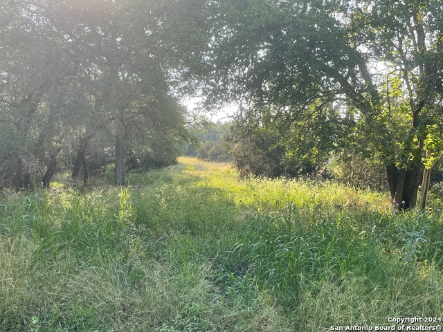 1449 Lavaca Property Photo 5