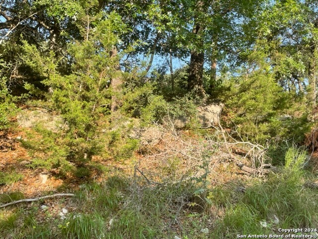 1449 Lavaca Property Photo 9