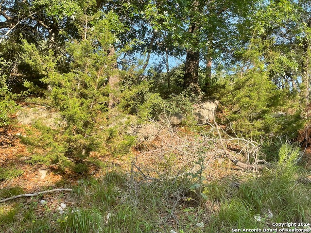 1449 Lavaca Property Photo 14
