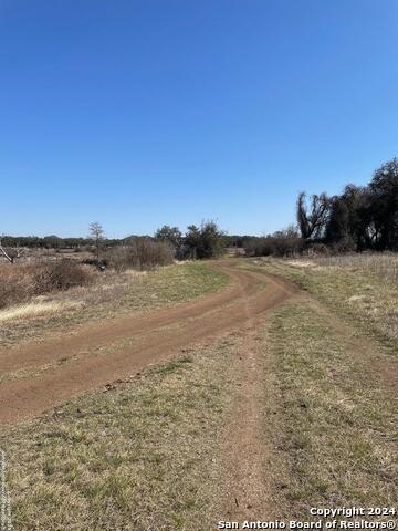 1449 Lavaca Property Photo 16