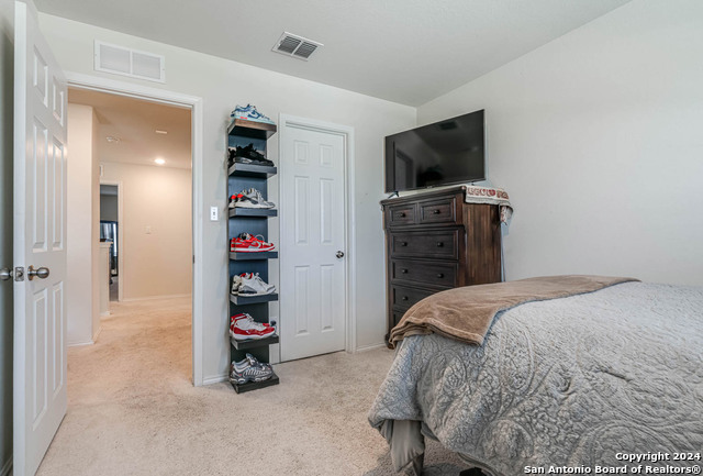 519 Wild Olive Way Property Photo 20