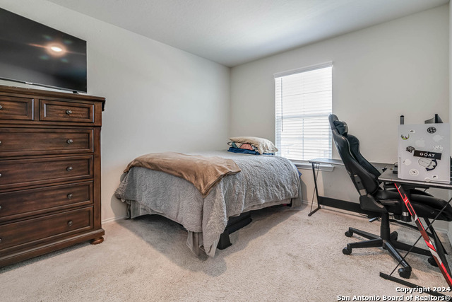 519 Wild Olive Way Property Photo 21