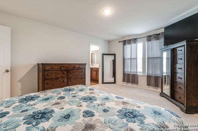 519 Wild Olive Way Property Photo 23