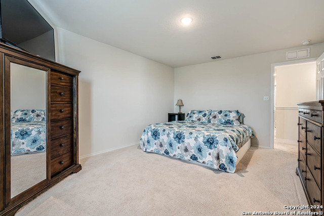 519 Wild Olive Way Property Photo 24