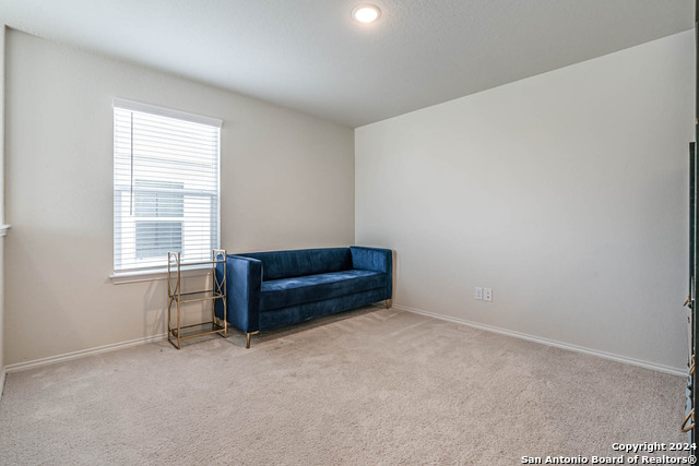 519 Wild Olive Way Property Photo 30