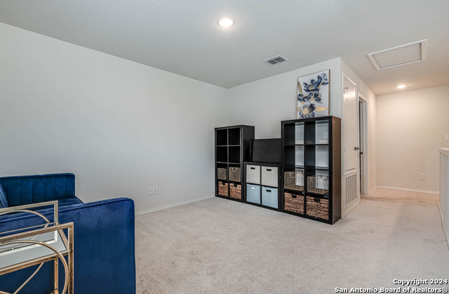 519 Wild Olive Way Property Photo 31