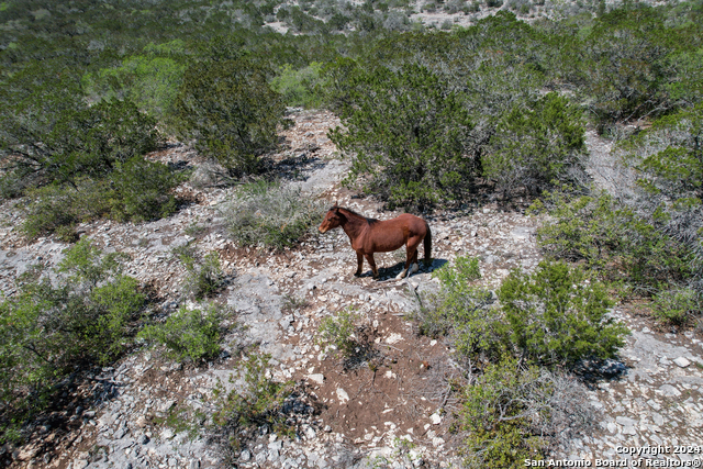 00 Rm 334 Property Photo 13