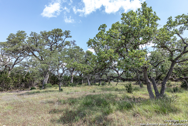 664 ANNABELLE AVE Property Photo 1