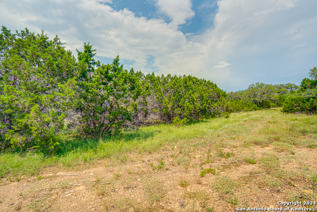 1642 Paradise Parkway Property Photo 4