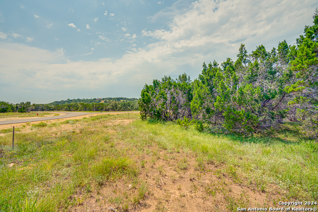 1642 Paradise Parkway Property Photo 5
