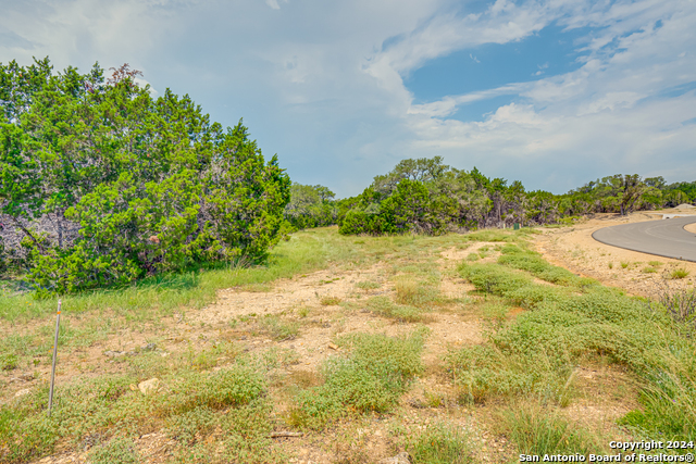 1642 Paradise Parkway Property Photo 6