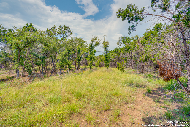 1642 Paradise Parkway Property Photo 7