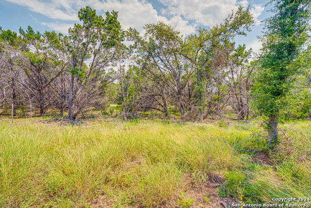 1642 Paradise Parkway Property Photo 9