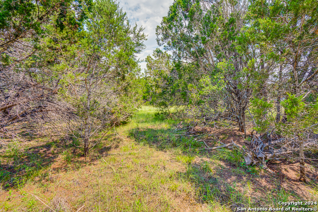 1642 Paradise Parkway Property Photo 10