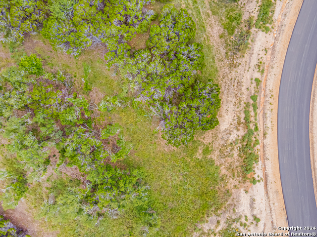 1642 Paradise Parkway Property Photo 21