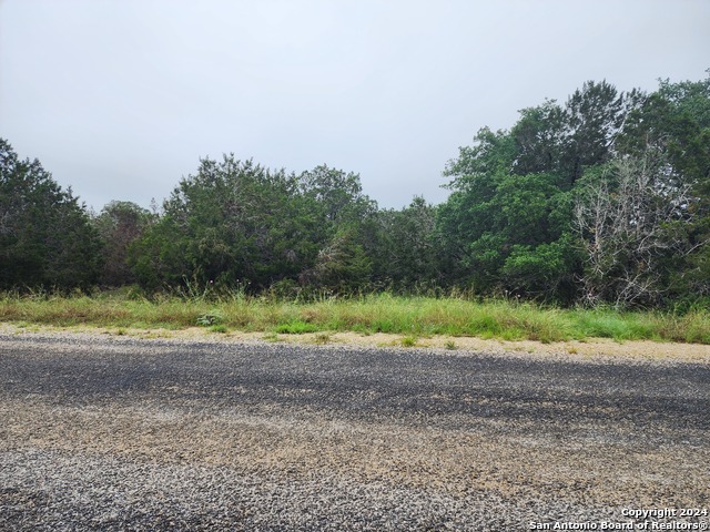 0 Serenity Oaks 2, Lot 21 Property Photo 9