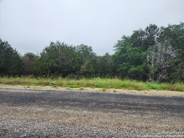 0 Serenity Oaks 2, Lot 21 Property Photo 10