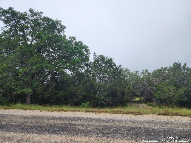 0 Serenity Oaks 2, Lot 21 Property Photo 12