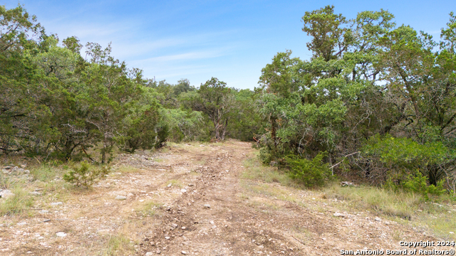 2429 John Charles Property Photo 1