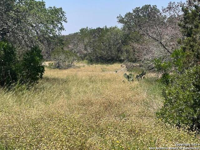 Lot 200 Valley Oaks Ranch Property Photo 5