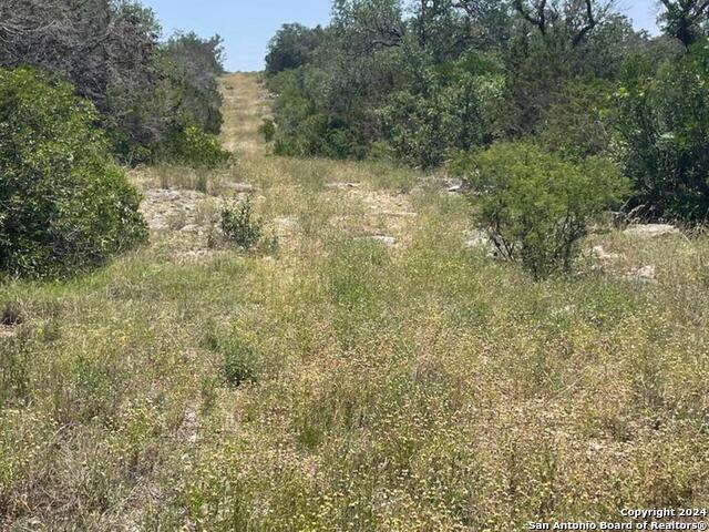 Lot 200 Valley Oaks Ranch Property Photo 6