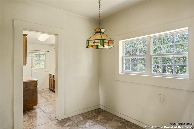 100 Steepside Lane Property Photo 81