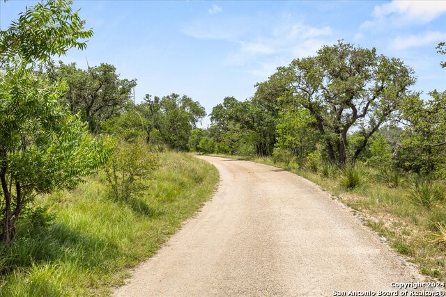 100 Steepside Lane Property Photo 86