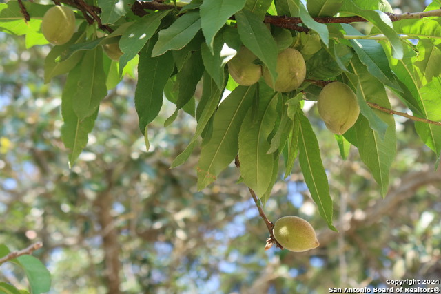 1095 Scenic Dr. Property Photo 8