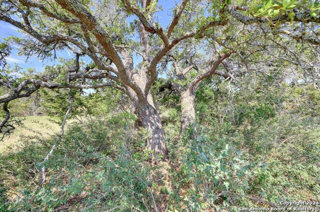104 William Tobin Property Photo 3