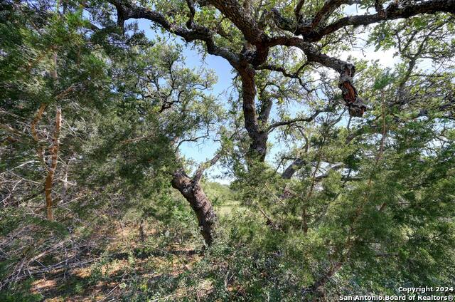 104 William Tobin Property Photo 11