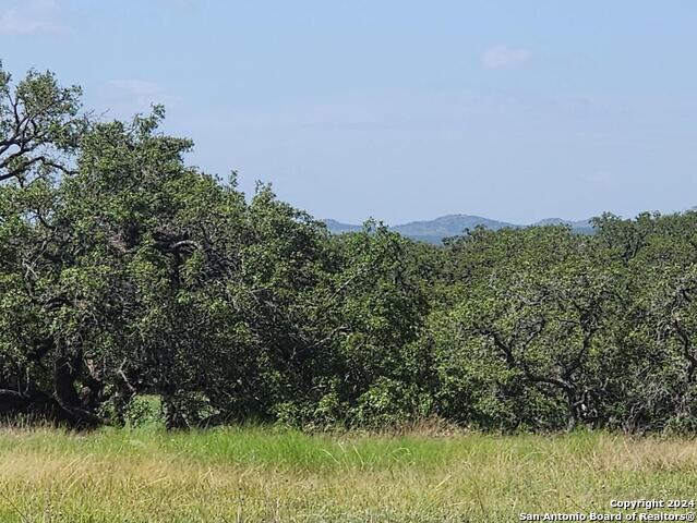 773 Annabelle Ave Property Photo 19