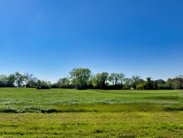Lot 37 Panther Ridge Drive Property Photo 1